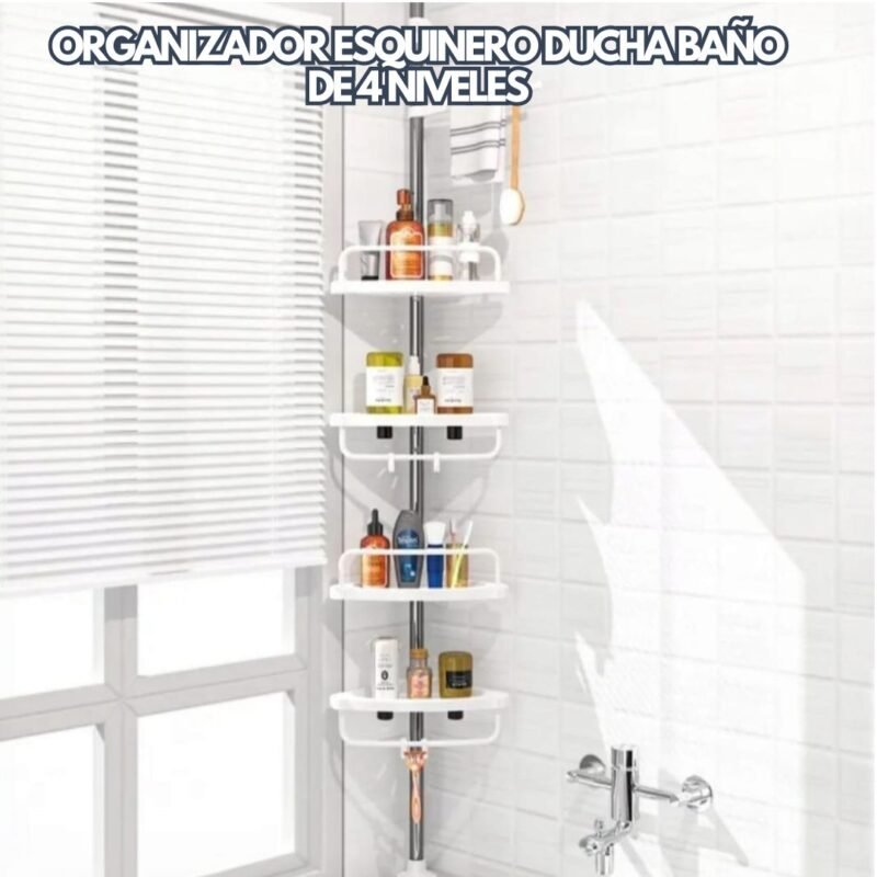 Copia de Sin título (61)